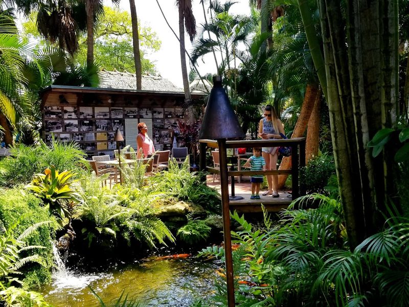 Island Paradise Setting
