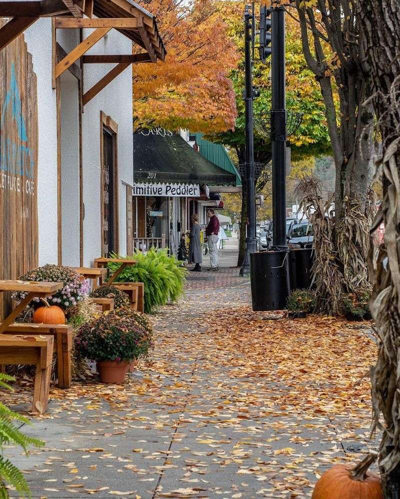 Briar Patch Marketplace & Caf&eacute; - Galax