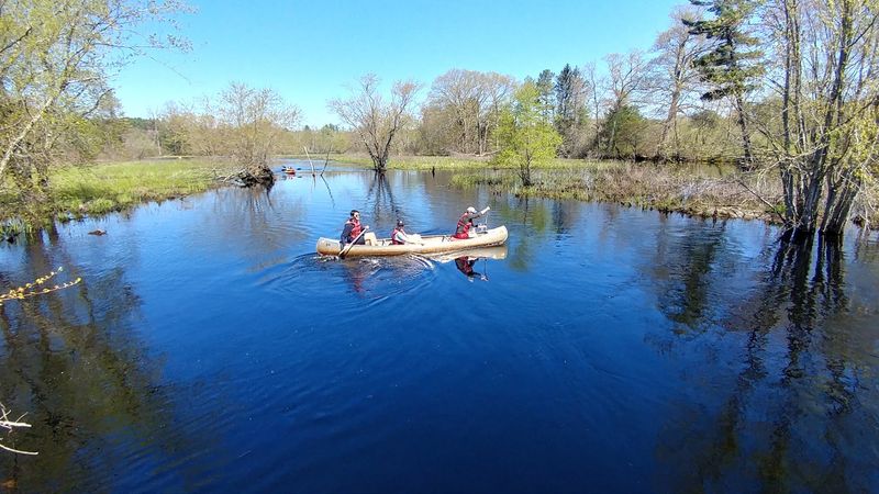 Nature Walk at Mass Audubon Ipswich River Wildlife Sanctuary