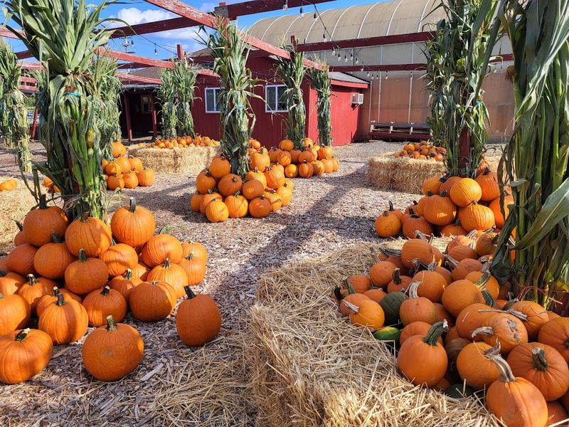Silverman's Farm - Easton, Fairfield County