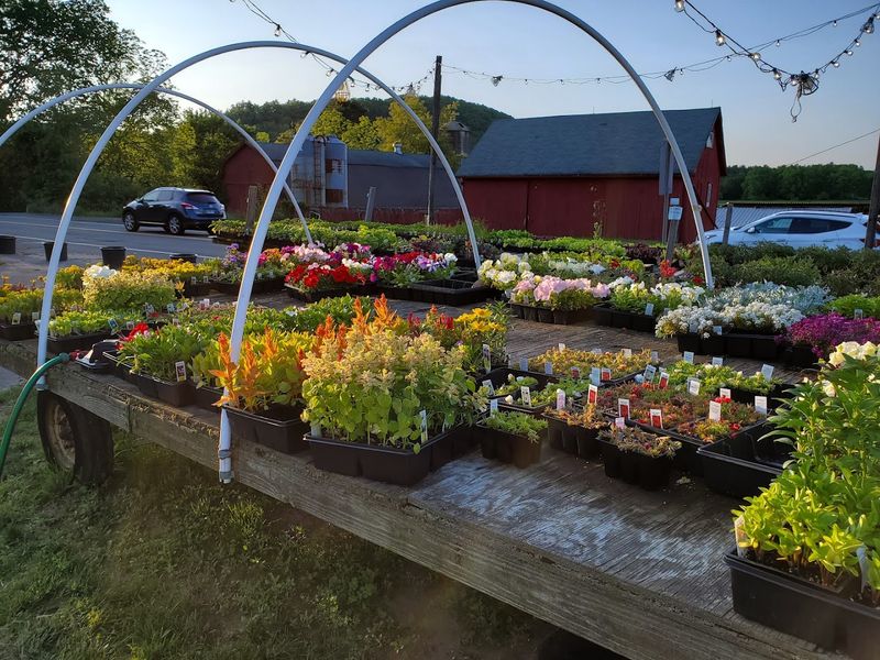 Tulmeadow Farm - Simsbury, Hartford County