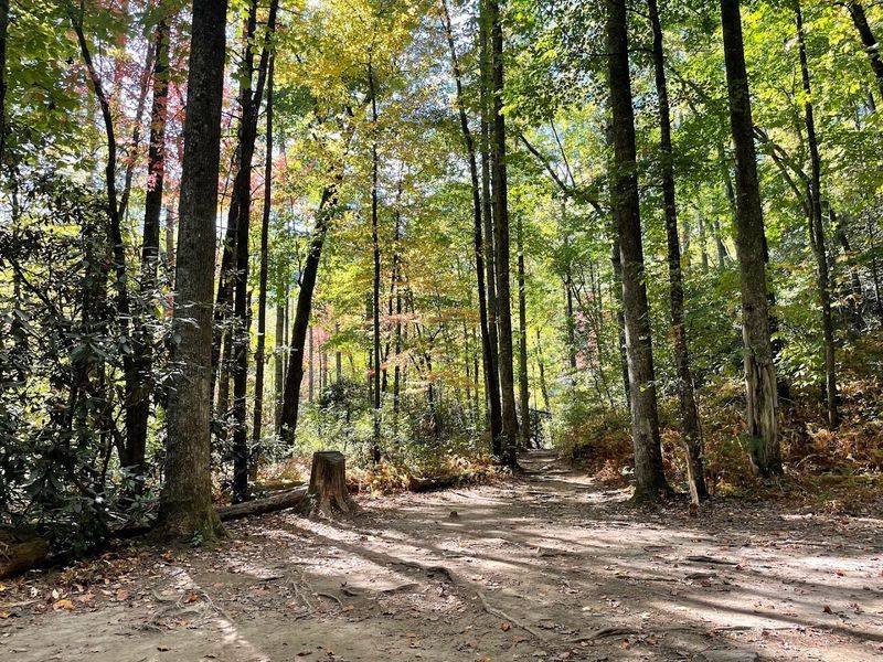More Than 50 Miles of Rugged Trails Await
