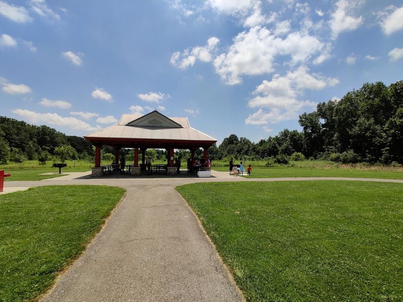 Glacier Ridge Metro Park - Ironweed Trail