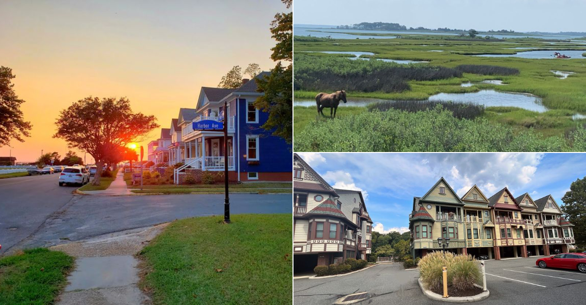 Before August Ends Experience These 10 Affordable Virginia Day Trips