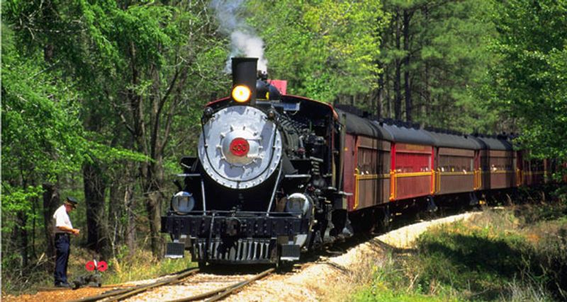 Ride Through the East Texas Piney Woods