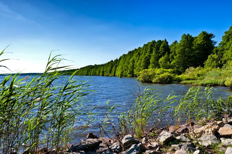 Lake Phelps