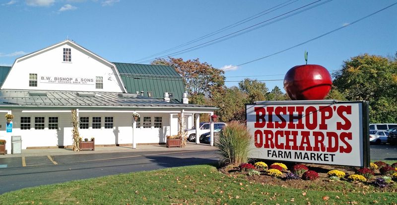 Bishop's Orchards - Guilford, New Haven County