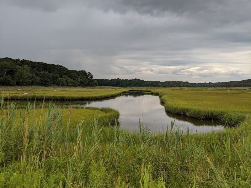 Barn Island Wildlife Management Area - Stonington, New London County