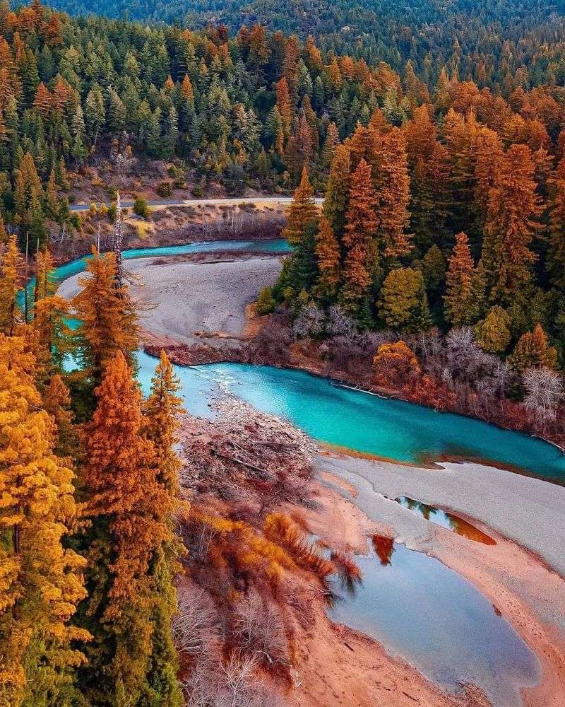 Planning the Perfect Avenue of the Giants Road Trip