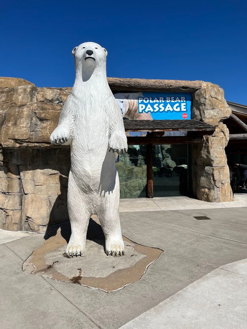 What Makes Kansas City Zoo Different From Other Zoo Sleepovers
