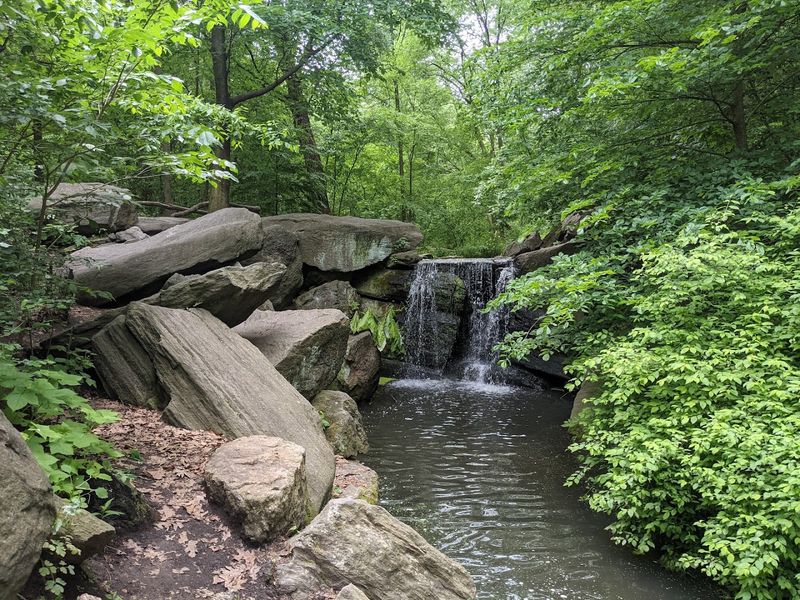 North Woods And Ravine Feel Miles From Civilization