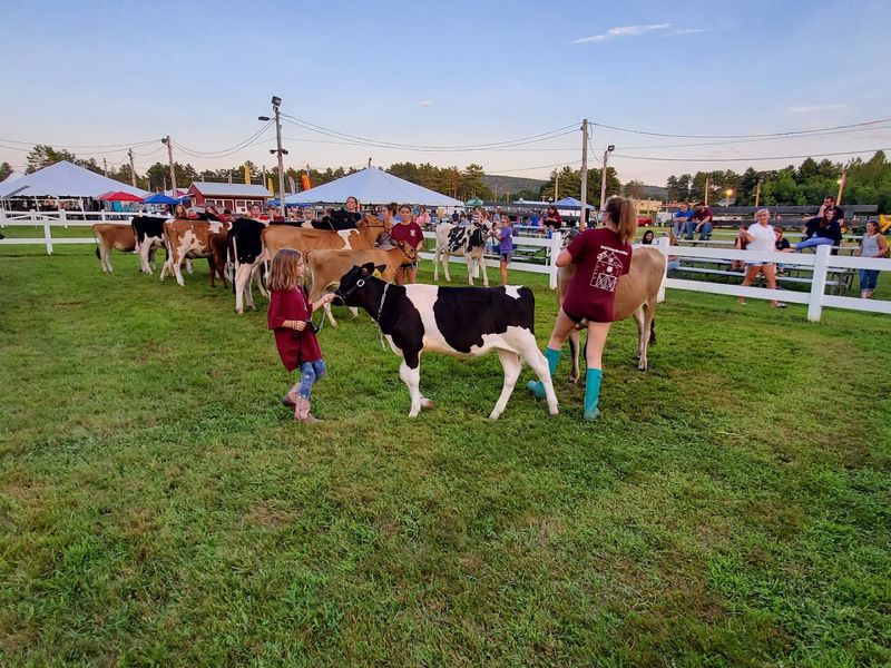 Four Town Fair (Somers)