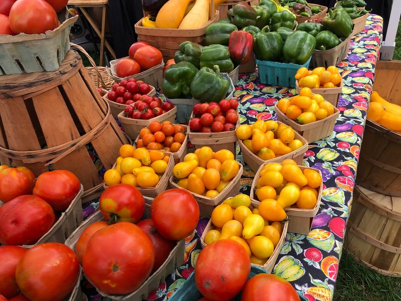 Wrightstown Farmers Market - Newtown