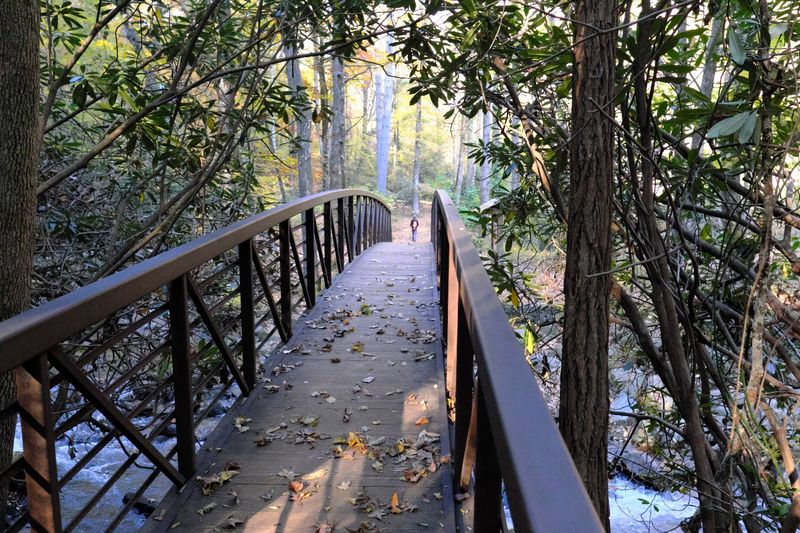 Miuka Falls Trail - Landrum, Greenville County