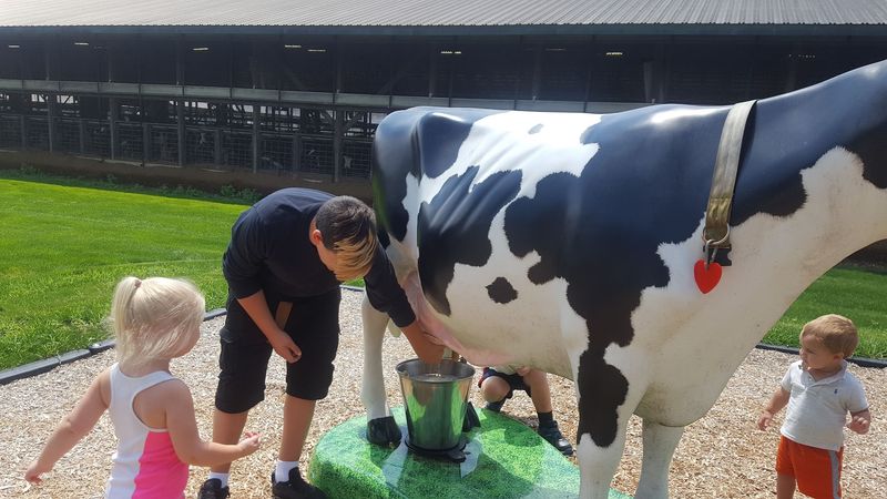 Country Views and Creamy Stops at Kreider Farms