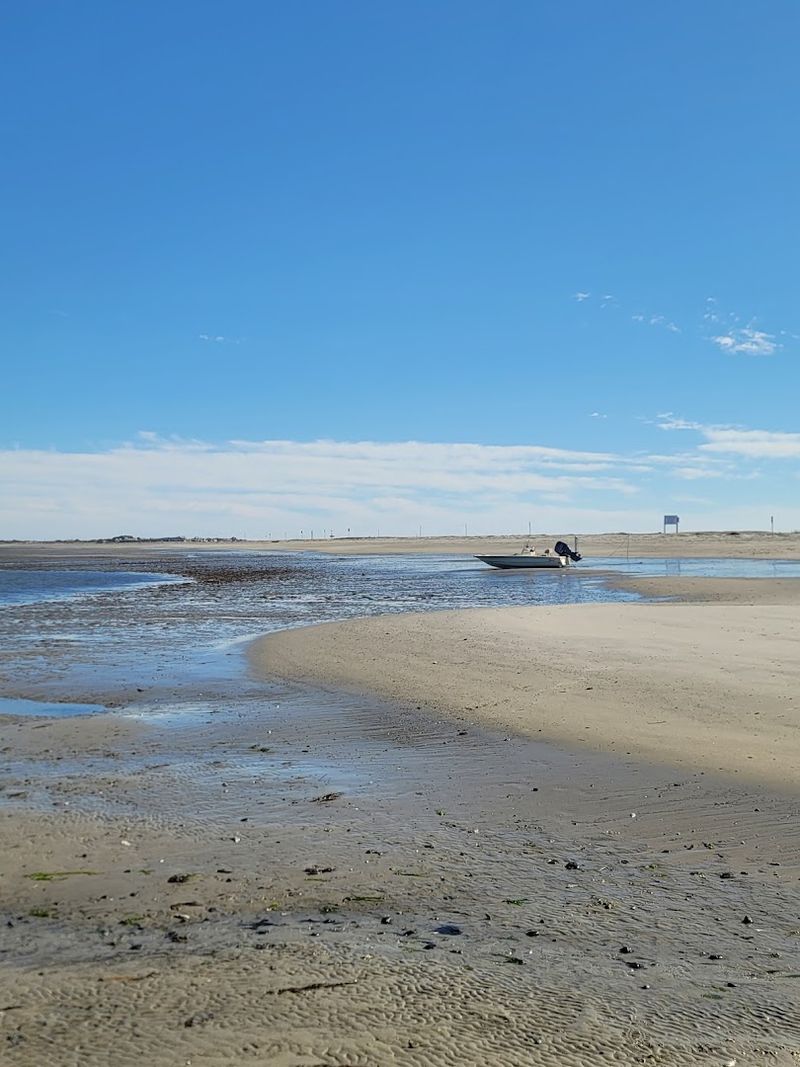Crab Bank Seabird Sanctuary 