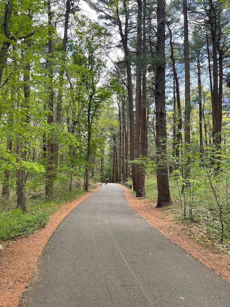 Year-Round Trail Running Paradise