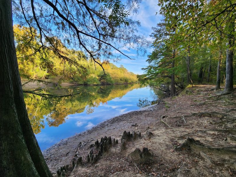 Seasonal Swimming in the 11-Acre Lake