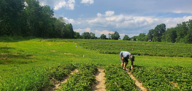 Holbrook Farm - Naugatuck, New Haven County