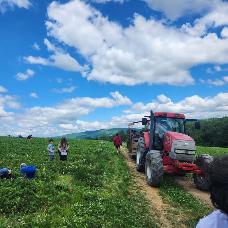 Pallman Farms