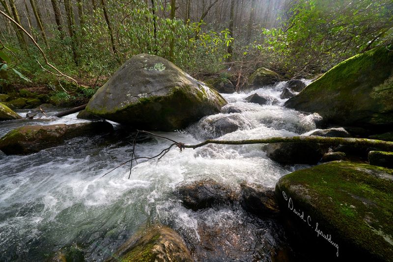 Middle Saluda River Trail - Cleveland, Greenville County