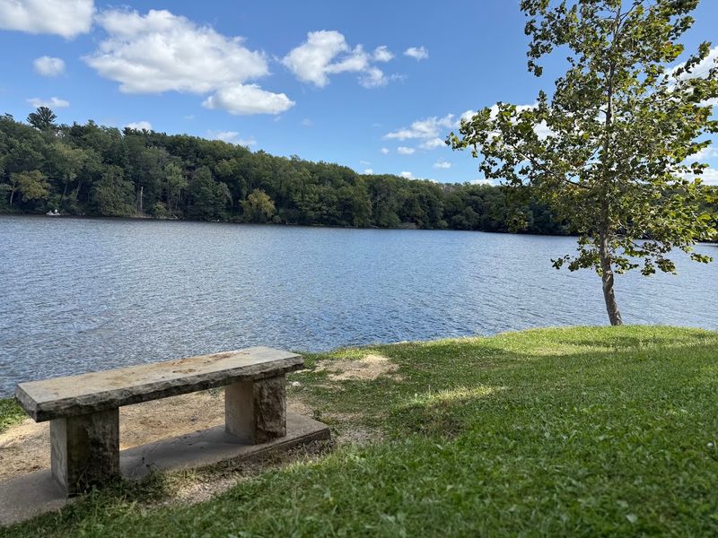 Shaded Picnic Spots With Lake Views