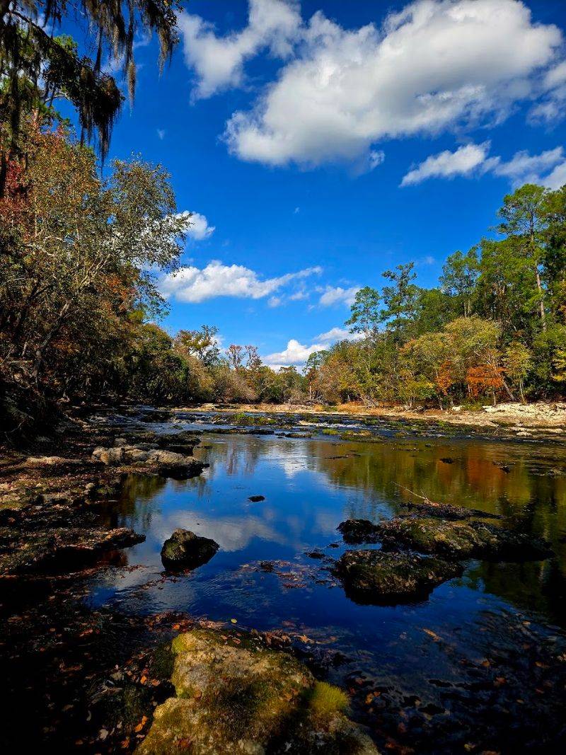 Dry Creek State Forest / Big Shoals State Park