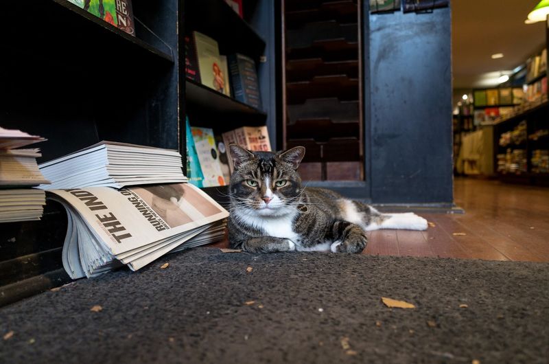 Community Bookstore - Park Slope, Brooklyn, New York City