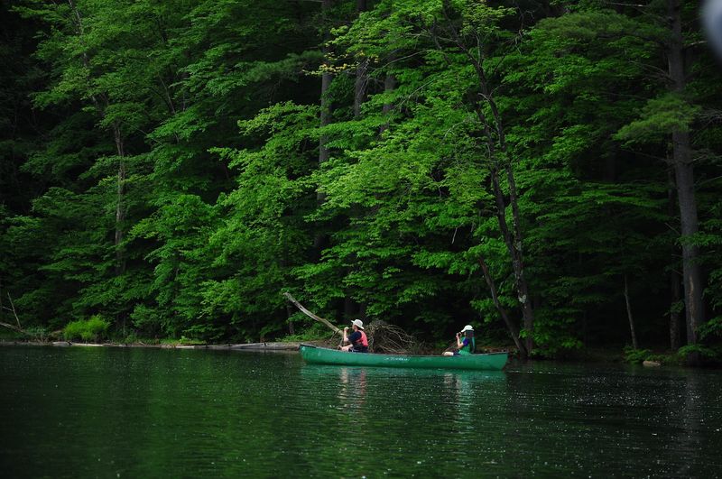 Pout's Pond - North Adams, Berkshire County