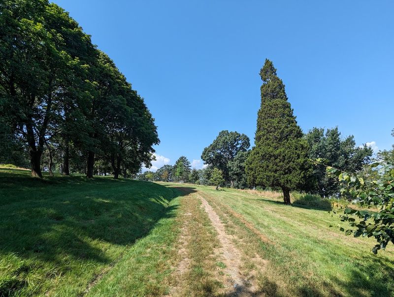 Rolling Hills Designed for Wonder