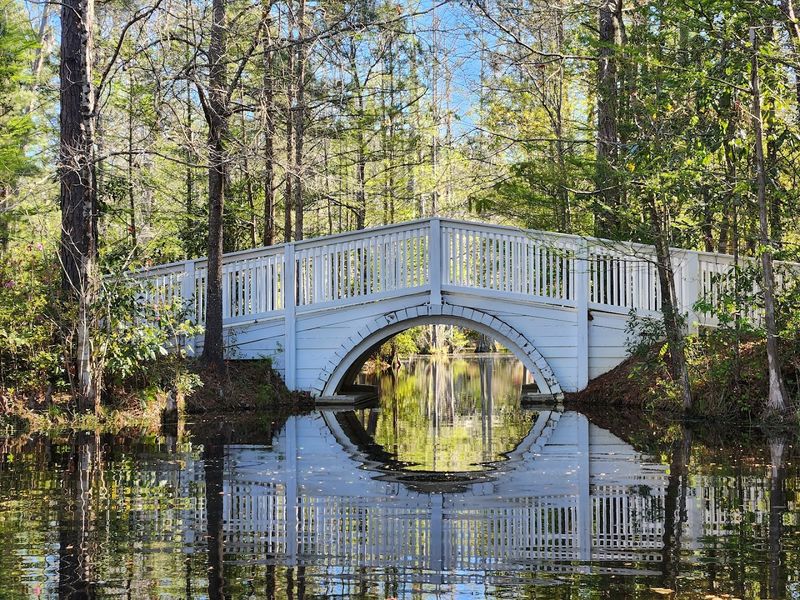 Explore Cypress Gardens Boardwalk Trails