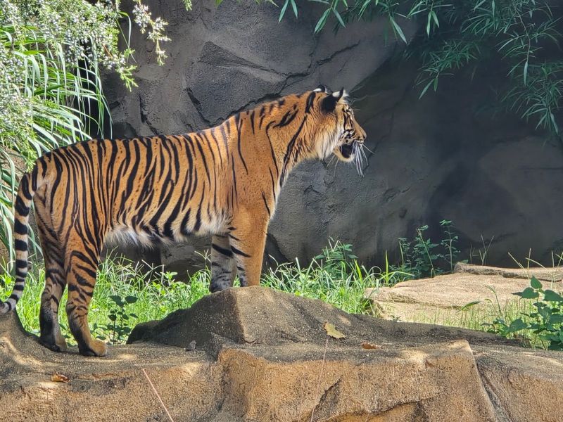Riverbanks Zoo & Garden - Columbia