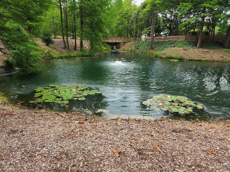 Aiken