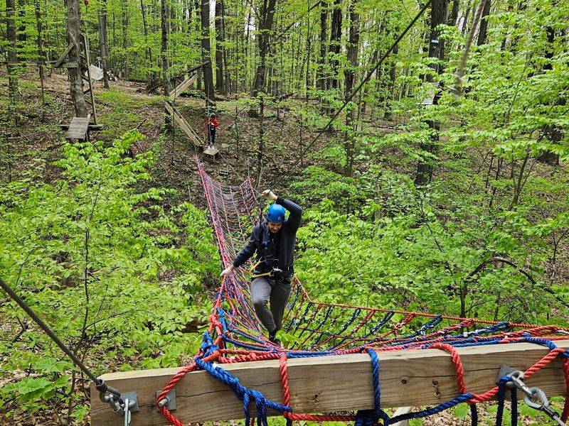 NYzipline