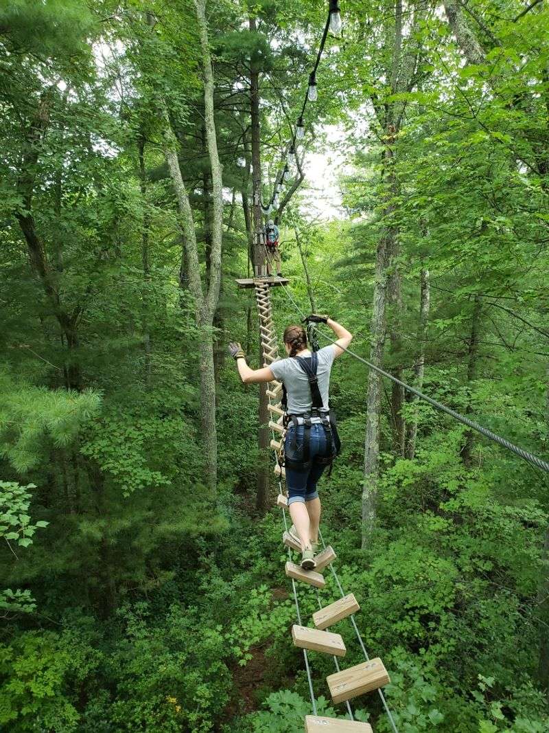 TreeTop Adventures