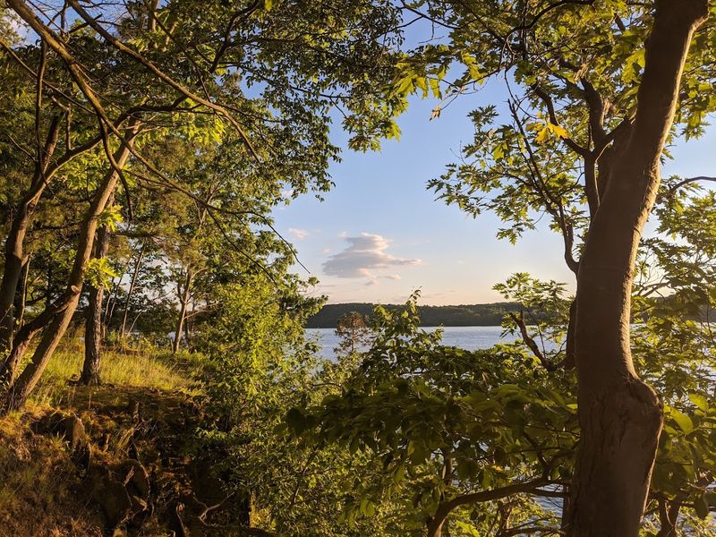 Tivoli Bays Wildlife Management Area
