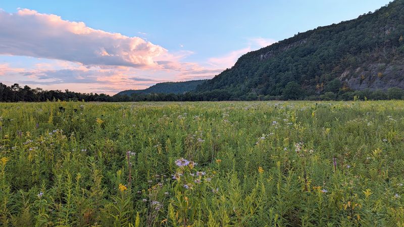 Delaware Water Gap - Delaware Water Gap, Monroe County
