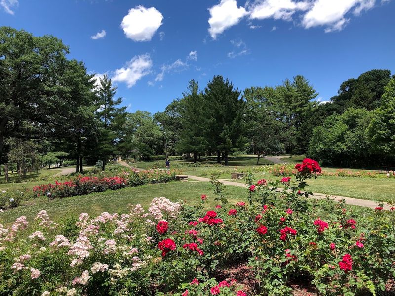 Des Moines Rose Garden - Des Moines, Polk County