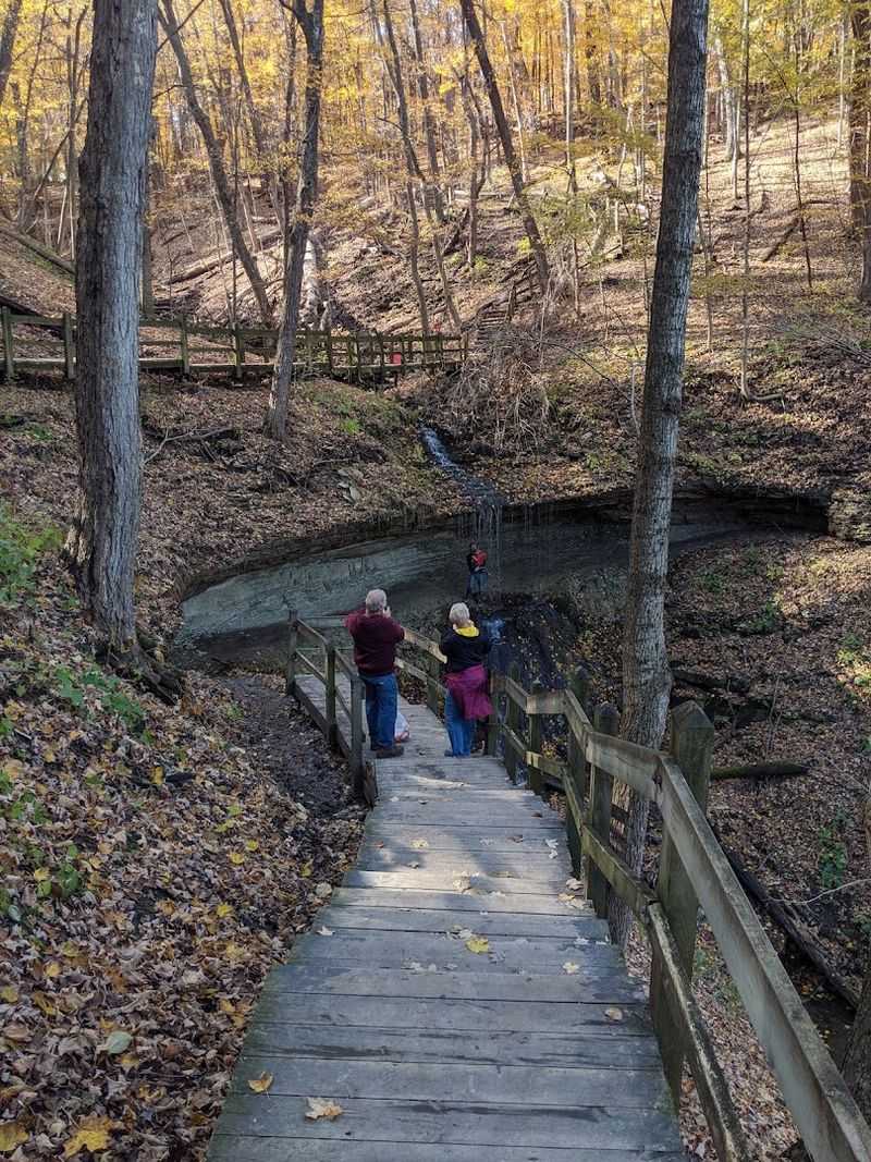 Trail Systems That Wind Through Ancient Woods
