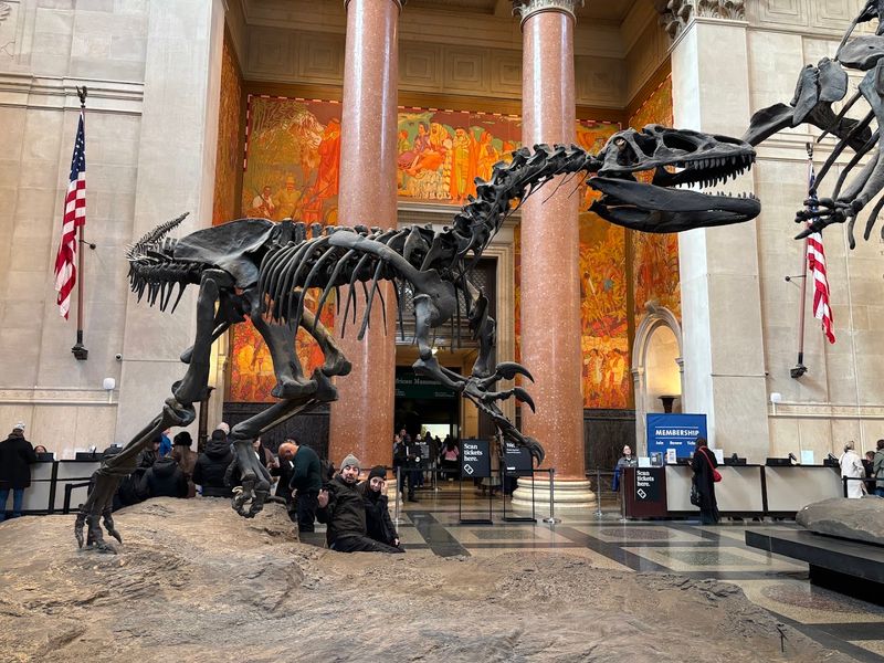 American Museum of Natural History - New York City, New York