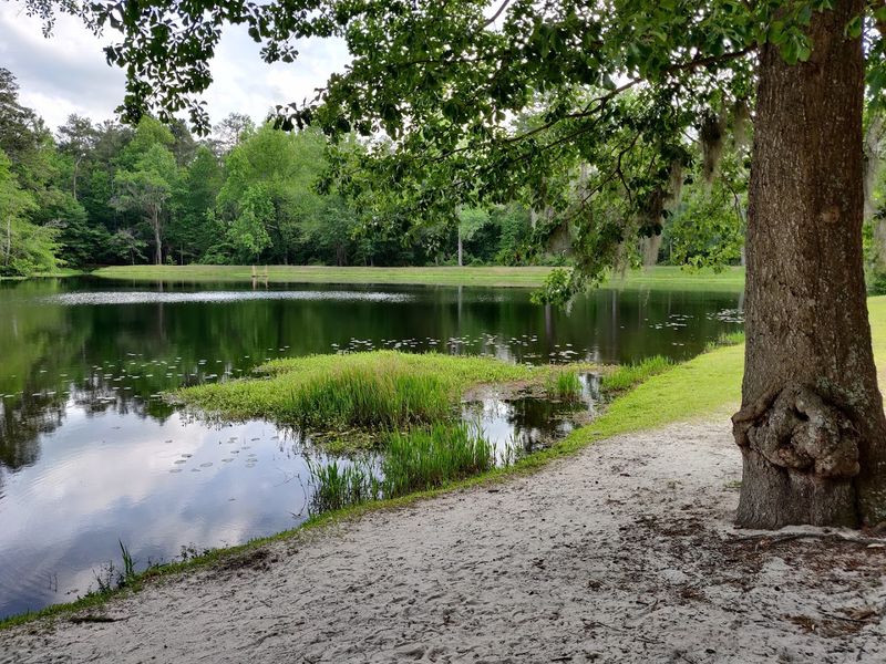 Poinsett State Park