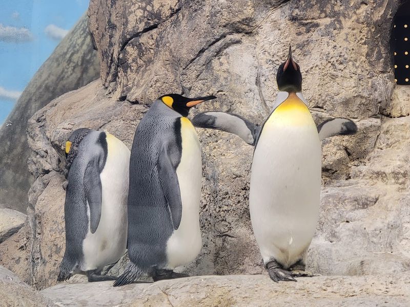 Riverbanks Zoo, Columbia, Richland County