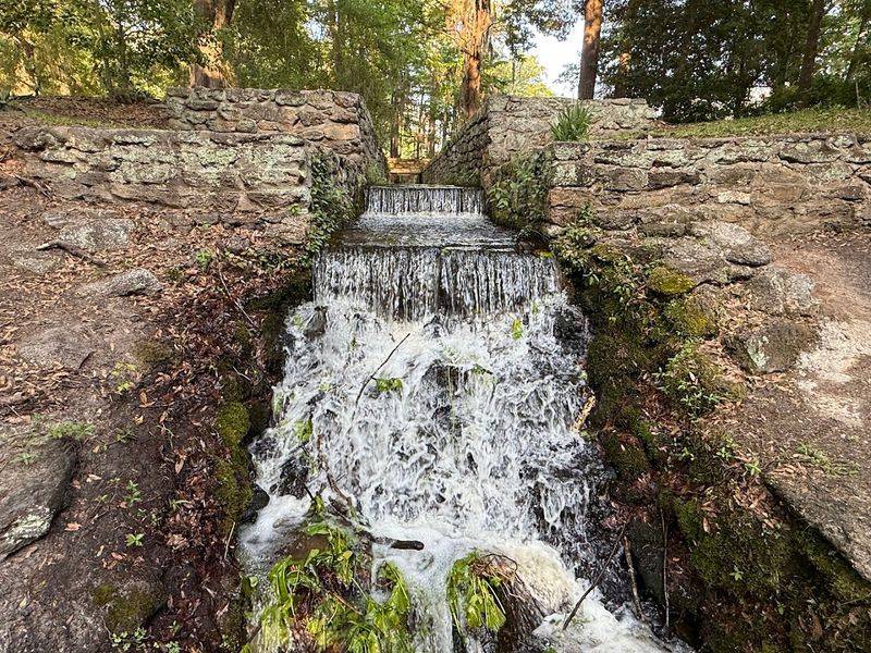Poinsett State Park - Wedgefield, Sumter County