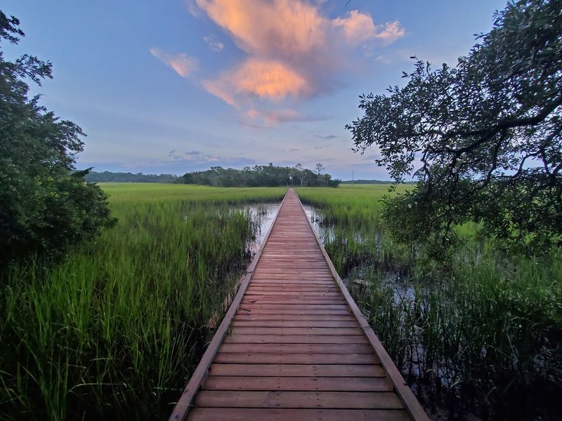 Edisto Beach State Park, Edisto Island, Colleton County