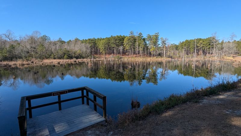 Carolina Sandhills National Wildlife Refuge - McBee, Chesterfield County