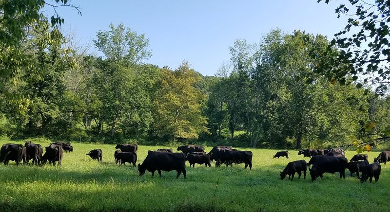 River Bend Arboretum - Marion, Linn County