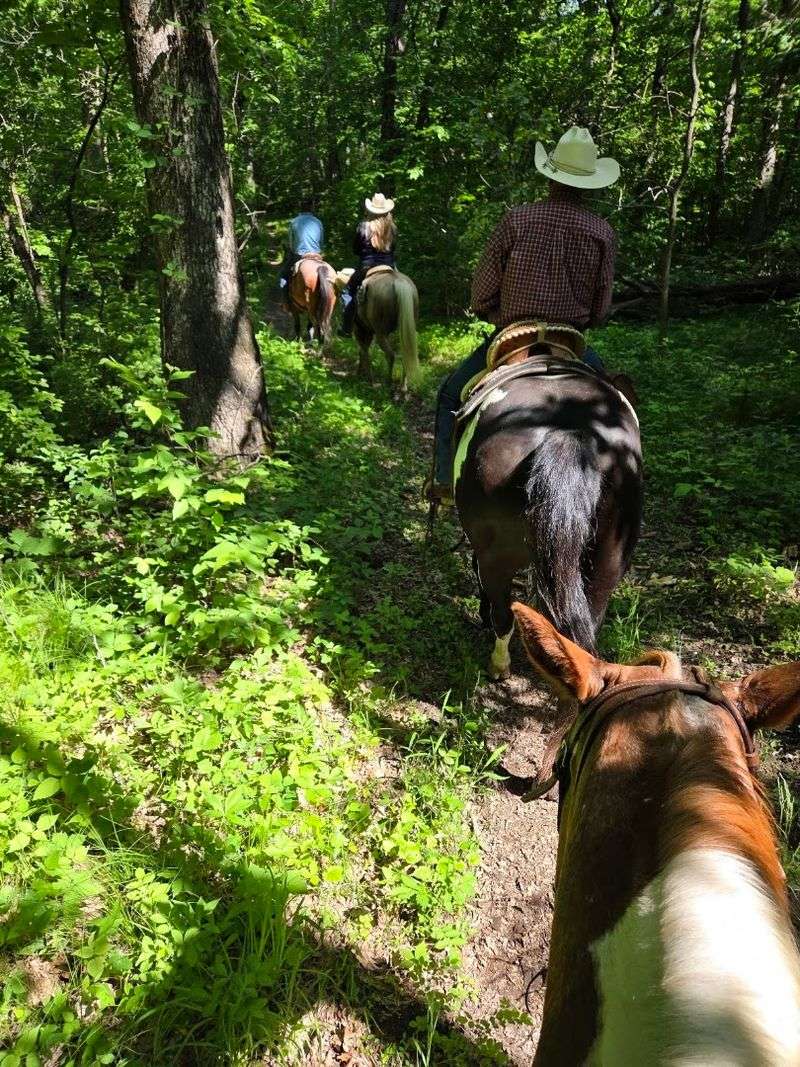 Shimek State Forest Equestrian Trails - Farmington, Iowa