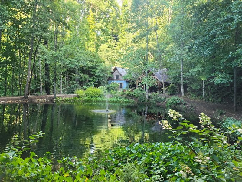 Tuckasegee - Bear Lake