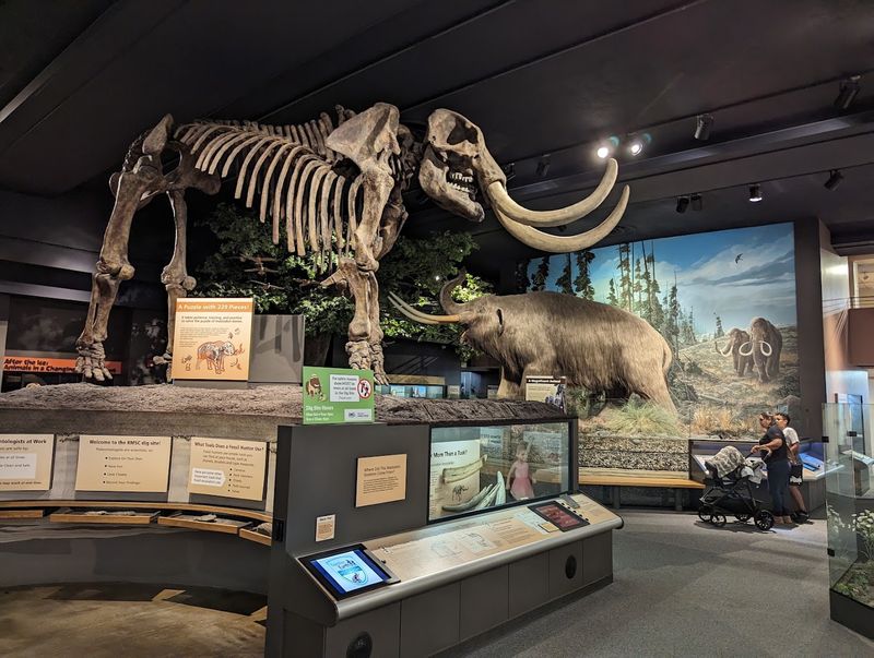 Rochester Museum & Science Center &mdash; Rochester, NY