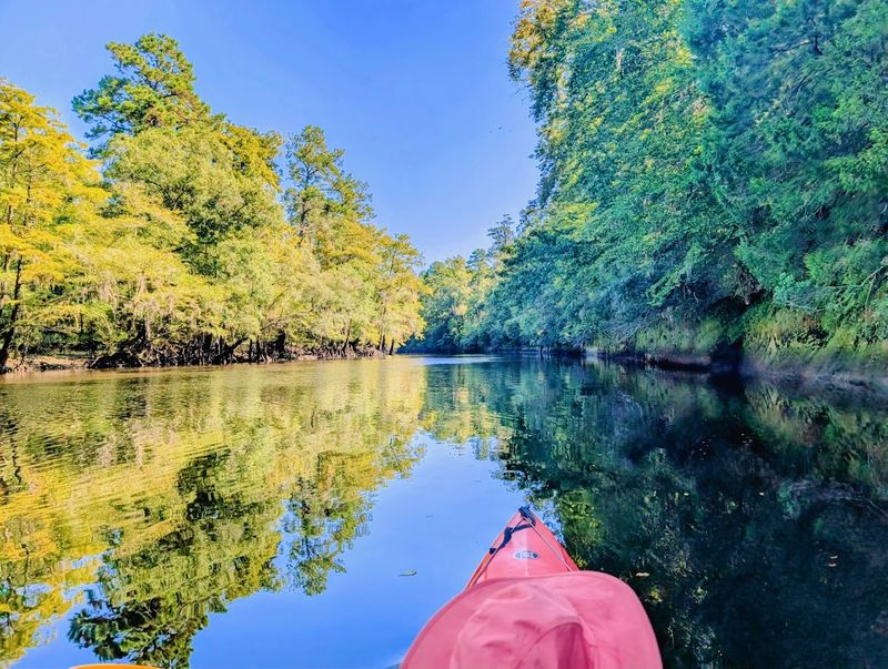 Edisto River Canoe and Kayak Trail (Coastal Section)